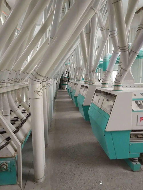 梁山縣新豐面粉廠 誠邀全國經(jīng)銷商，共拓勞動(dòng)保護(hù)用品銷售新藍(lán)海